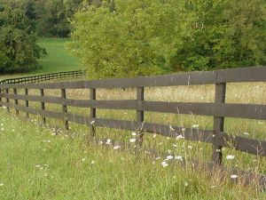 Finished fence row