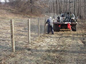 Wire fencing